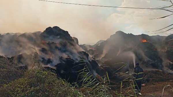 حريق ضخم يدمر شونة قش في كفر الشيخ ويحولها إلى رماد