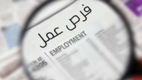 فرصة عمل مميزة: 720 وظيفة شاغرة في سلسلة شهيرة مع تفاصيل شاملة