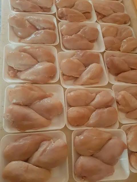 سعر البانيه