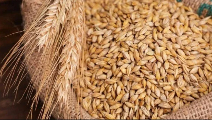 وصل لكام؟.. سعر طن الأرز الشعير اليوم الاحد 19 أكتوبر 2025 في مصر داخل الأسواق والمحلات التجارية