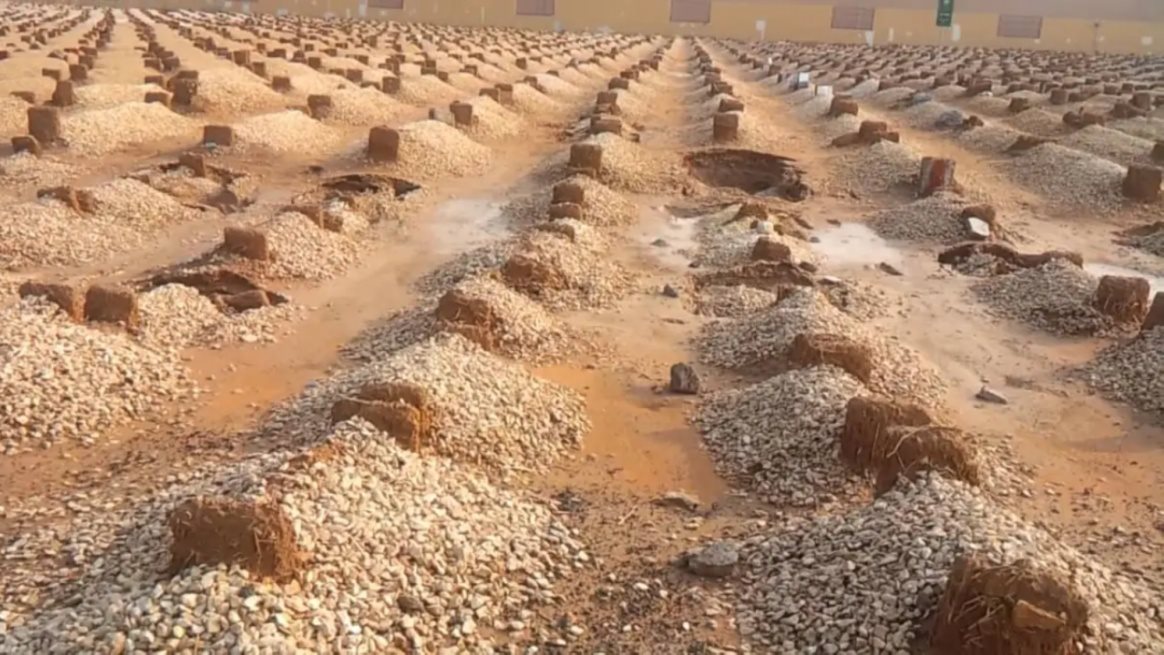 ربّة منزل تفارق الحياة بعد ساعتين من وفاة زوجها في قنا