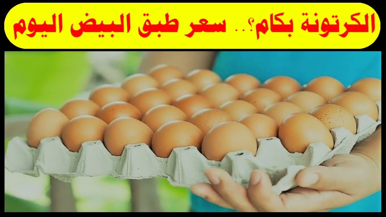 اخر تحديث .. سعر كرتونة البيض اليوم الاحد 19-10-2025 في الأسواق التجارية والمزرعة